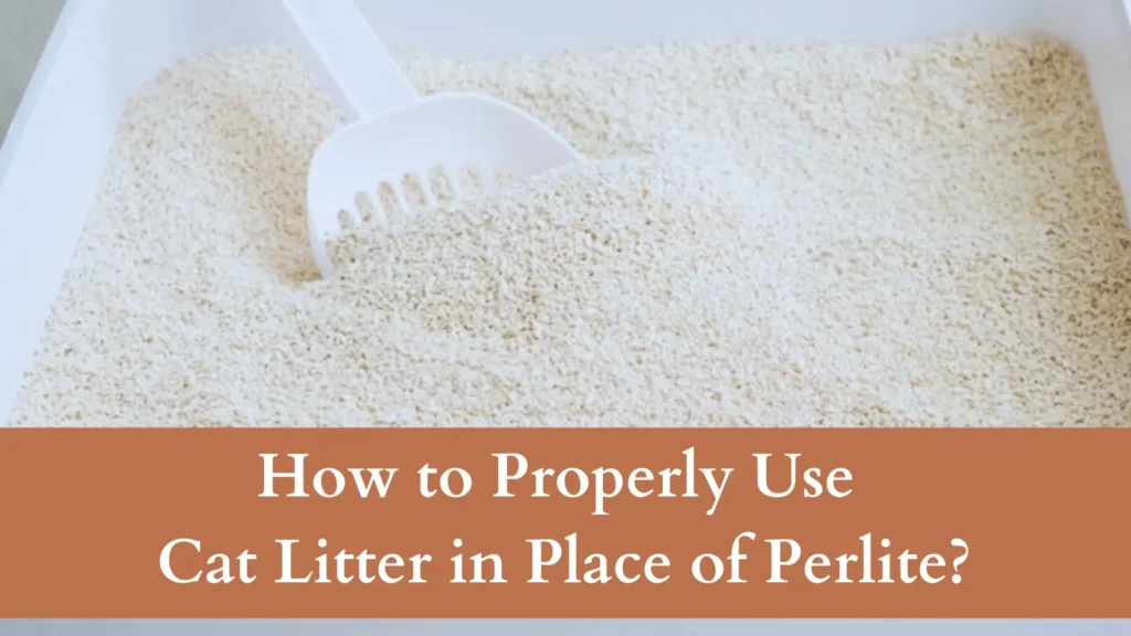 Can You Use Cat Litter as Perlite for Plants? If So, How?