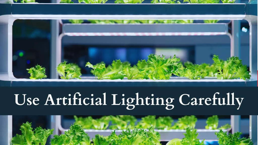 Using Artificial Lighting Carefully protect plants from burning