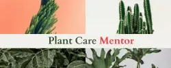 plant care mentor logo