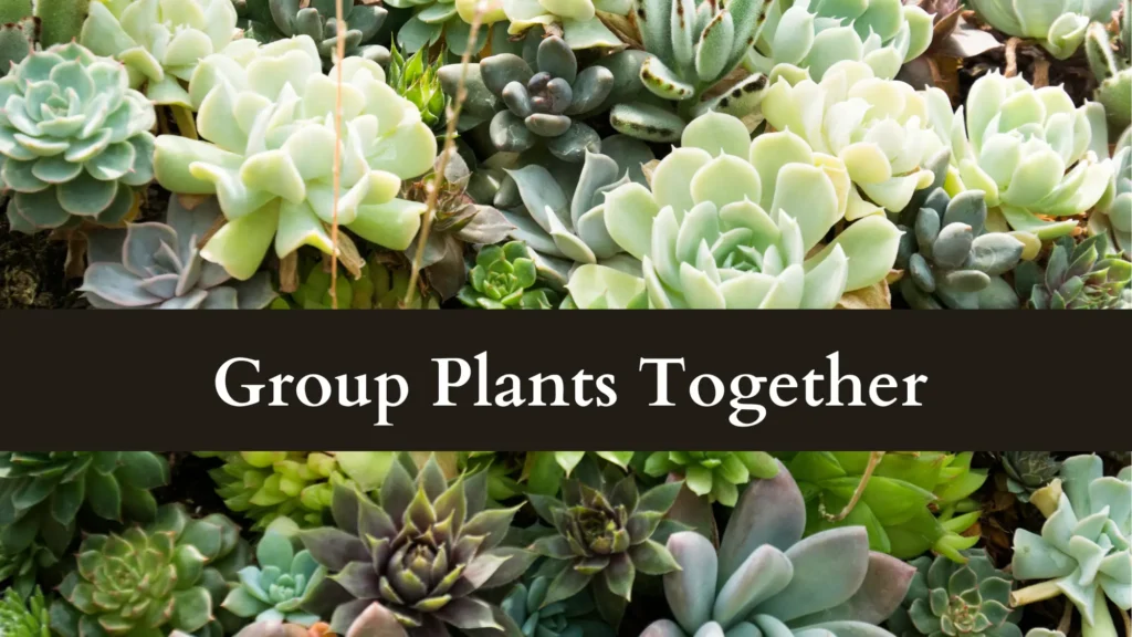 grouping plants protects plants from burning