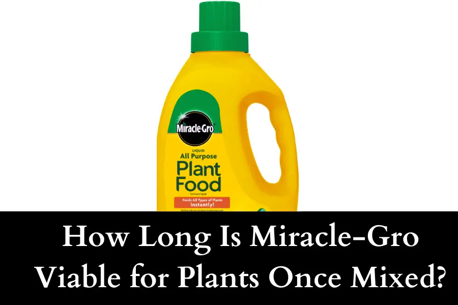 How Long Is Miracle-Gro Viable for Plants Once Mixed