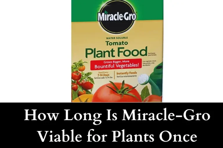 How Long Is Miracle-Gro Viable for Plants Once Mixed