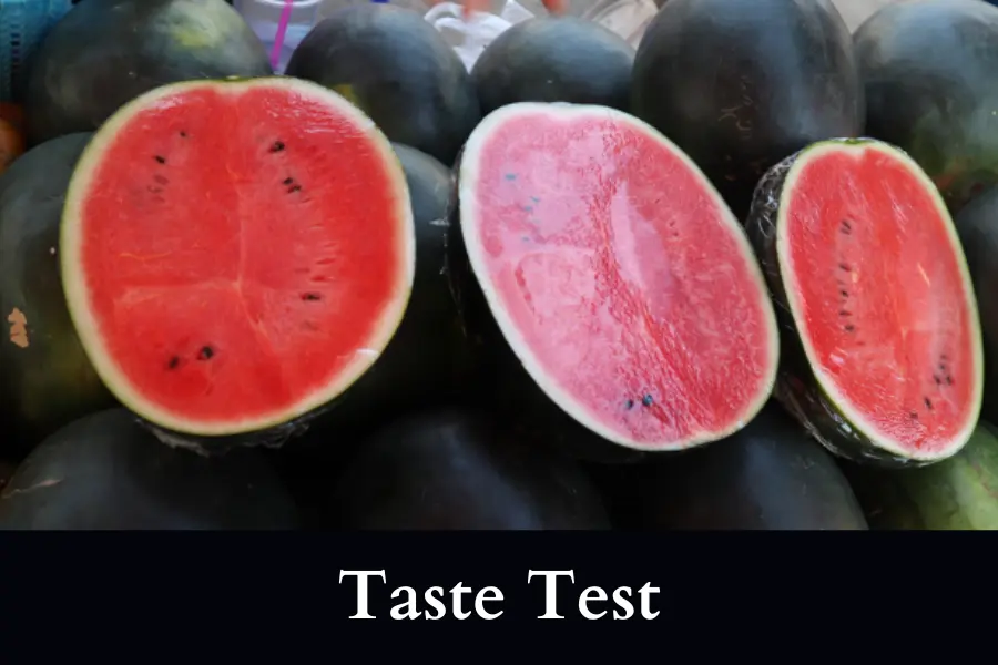 do taste test to know When to Pick Watermelon Sugar Baby