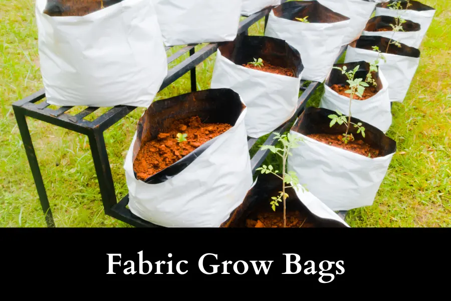 Fabric Grow Bag is suitable for growing tomato plants