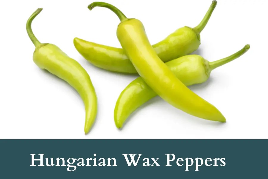 Hungarian Wax Peppers Look Like Jalapenos