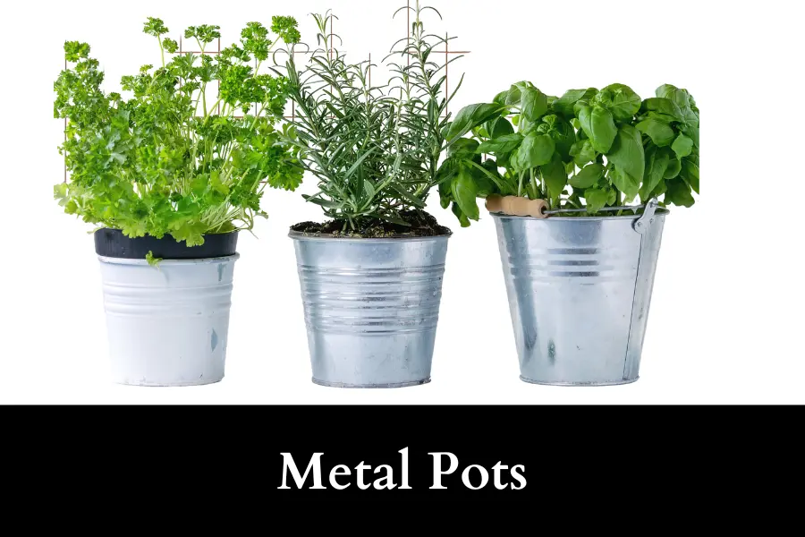 Metal Pot is suitable for growing tomato plants