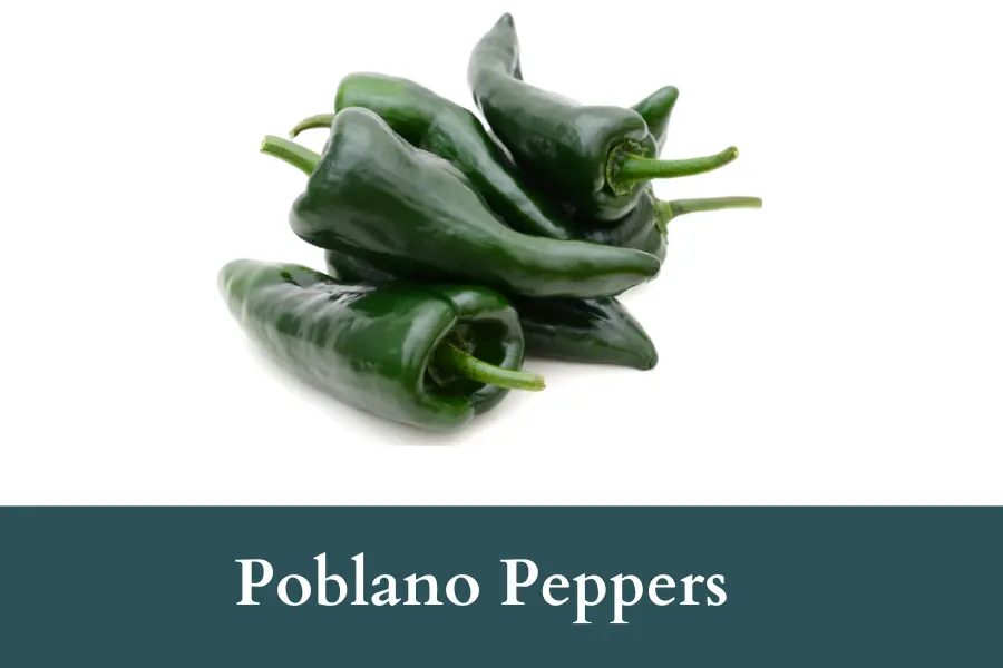 Poblano Peppers Look Like Jalapenos