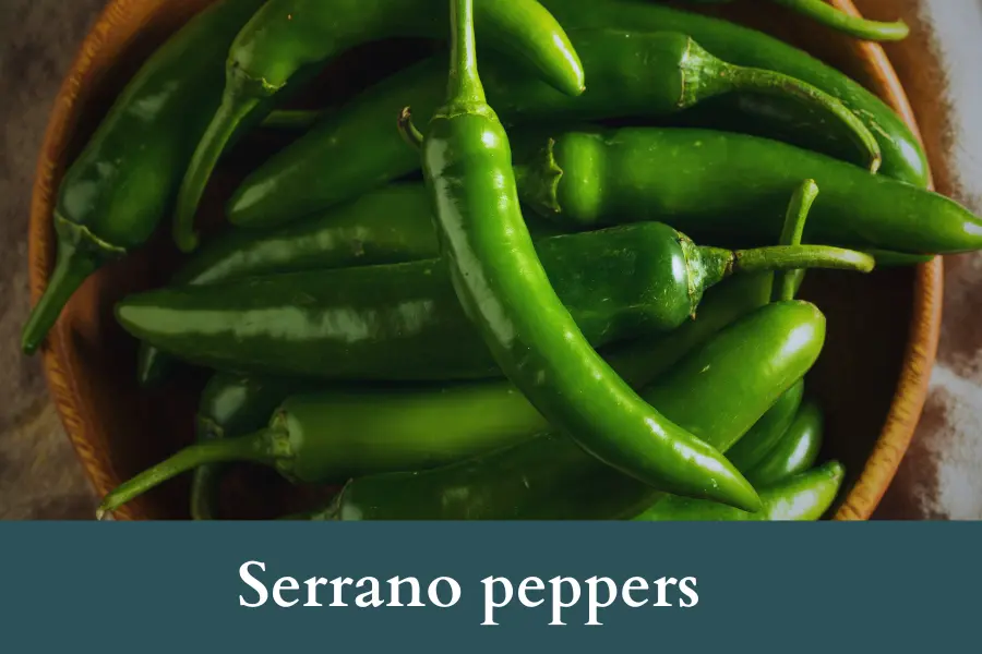 Serrano peppers Look Like Jalapenos