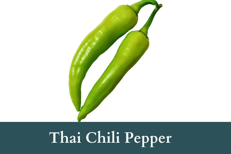 Thai Chili Pepper Look Like Jalapenos