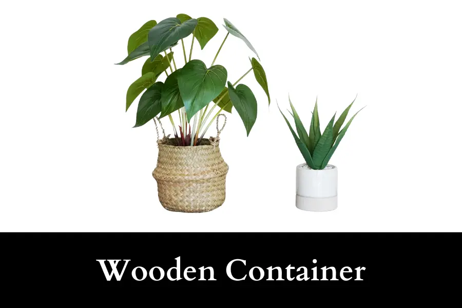 Wooden Containers is suitable for growing tomato plants