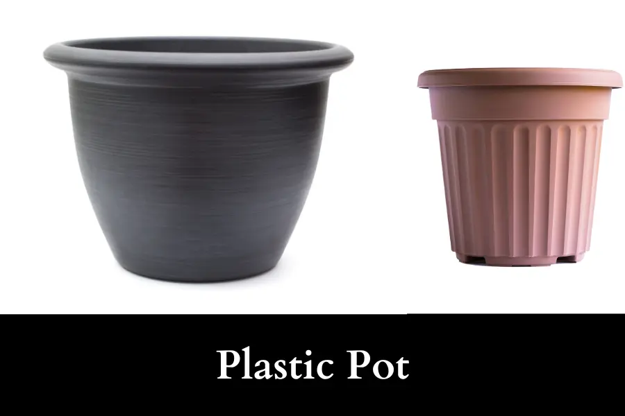 plastic pot is suitable for growing tomato plants